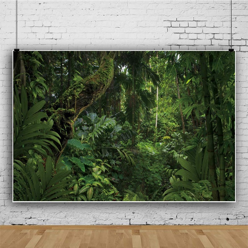 DORCEV 5x3ft Jungle Forest Photography Backdrop for Outdoorsy Camping Theme Party Background Spring Mysterious Rainforest Jungle Forest Tree Natural Scenery Kids Adult Wedding Photo Studio Props - Image 3